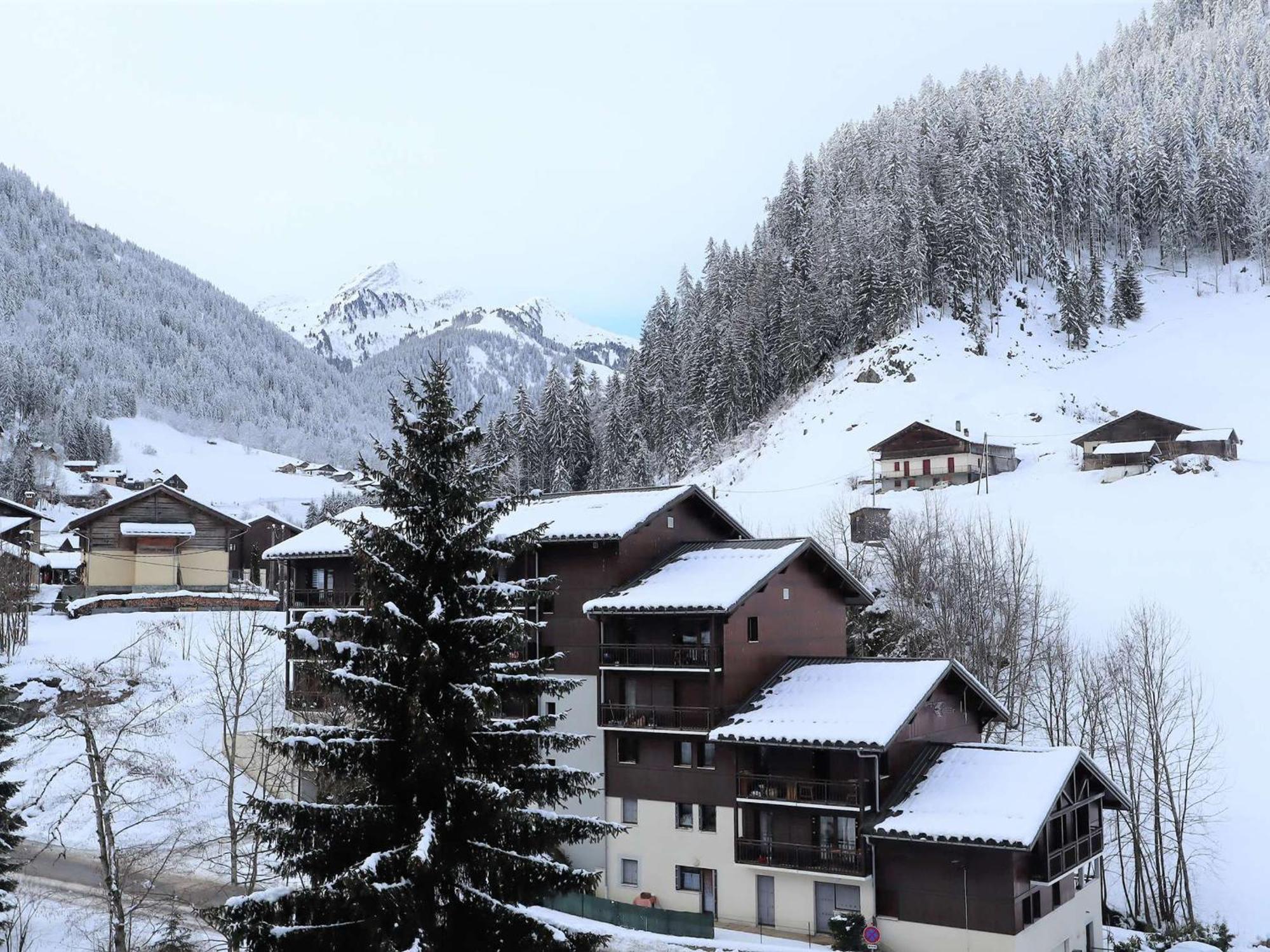 Appartement Cosy Pour 4, Au Coeur Du Village, Proche Des Pistes Et Avec Piscine Estivale - Fr-1-342-173 Areches Bagian luar foto